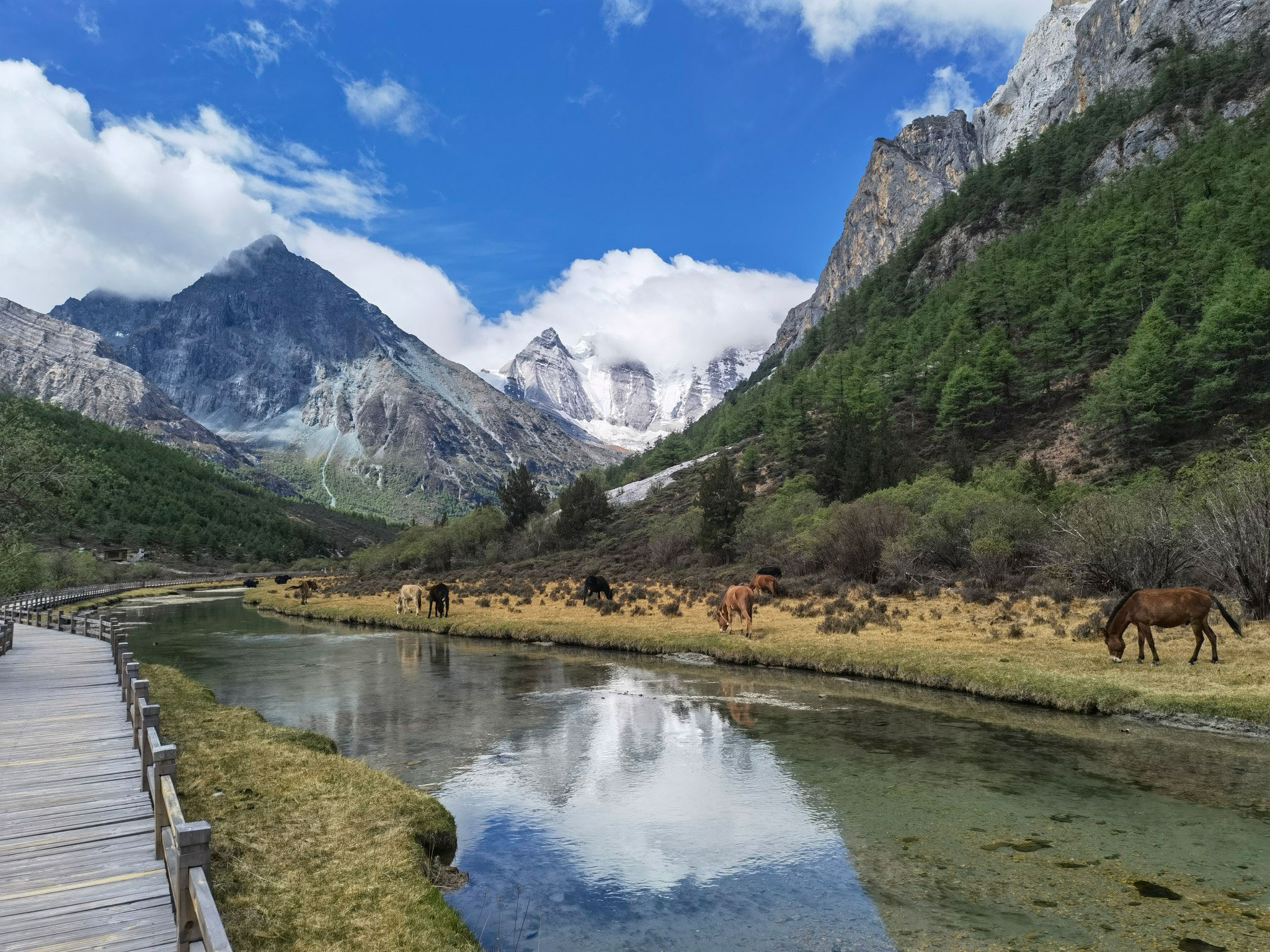 麗江旅遊 麗江旅遊