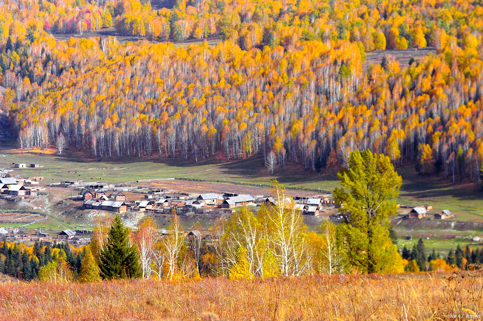 2026新疆旅遊季節指南｜四季最佳月份、喀納斯與伊犁逐月攻略