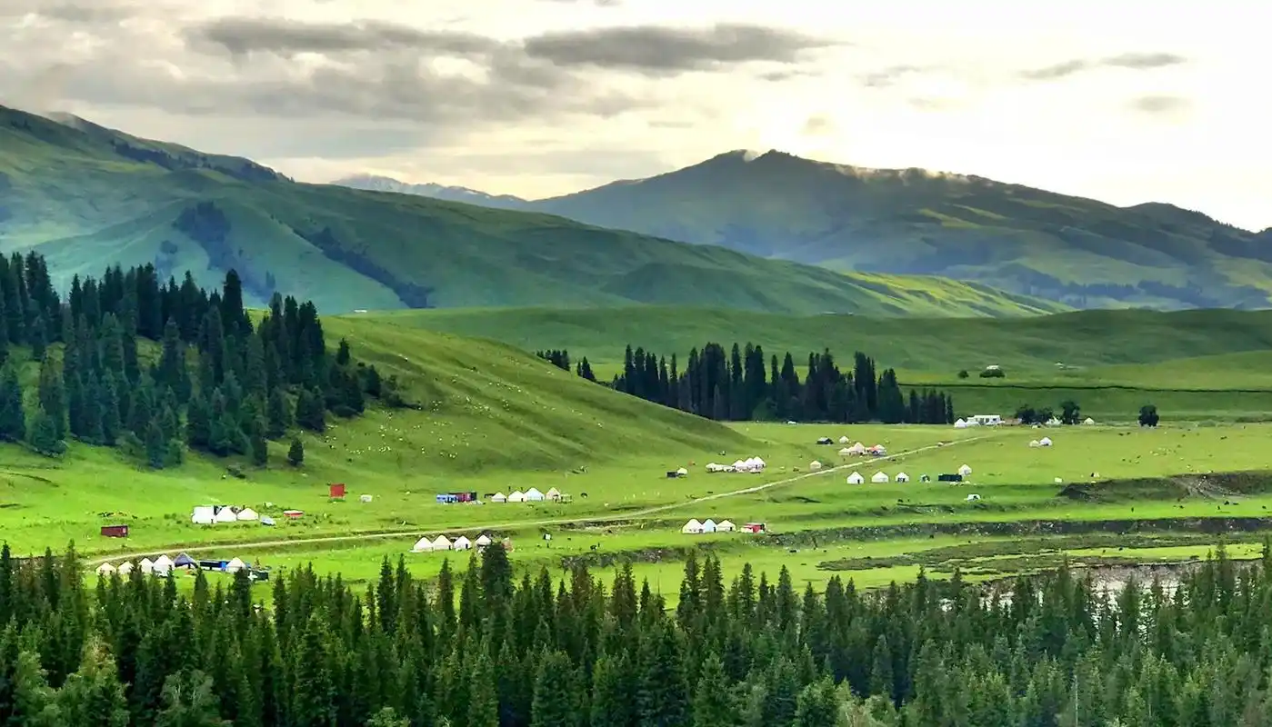 唐布拉【百裏畫廊】