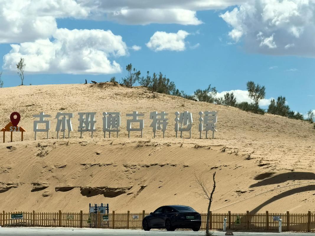 S21穿越古爾班通古特沙漠