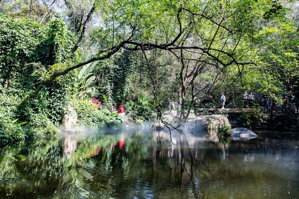 廈門園林植物園（思明區·虎園路）~tplv-be4g95zd3a-image