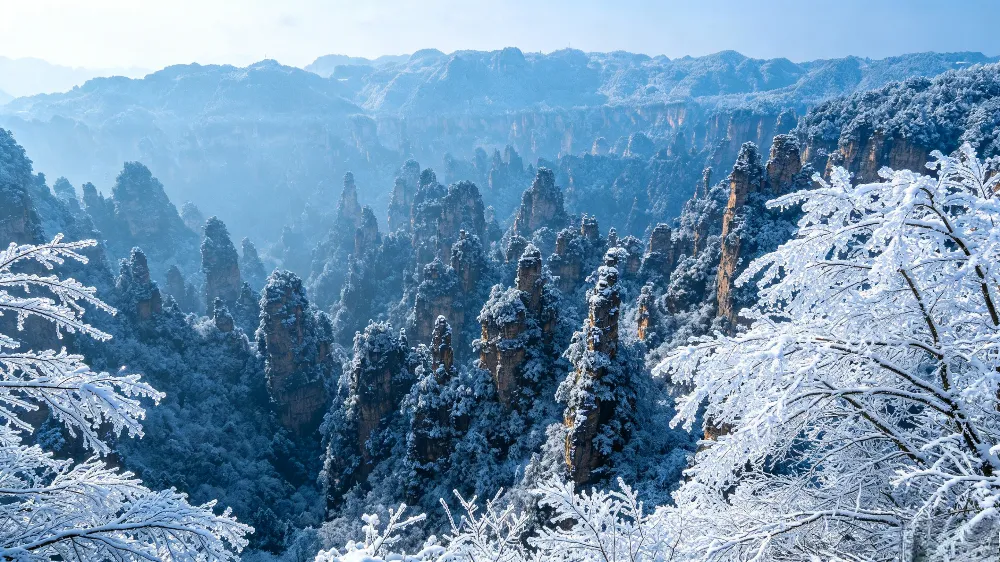 張家界冬季雪後的銀白色世界,峰林與樹枝掛滿霧凇,美麗得令人忘記寒冷 張家界冬季雪後的銀白色世界,峰林與樹枝掛滿霧凇,美麗得令人忘記寒冷