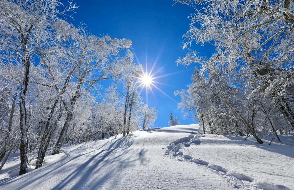 哈爾濱冰雪畫廊 哈爾濱冰雪畫廊