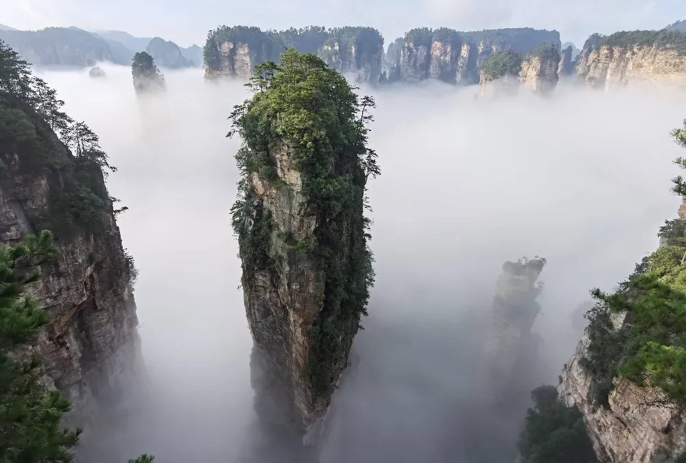 阿凡達取景地 阿凡達取景地