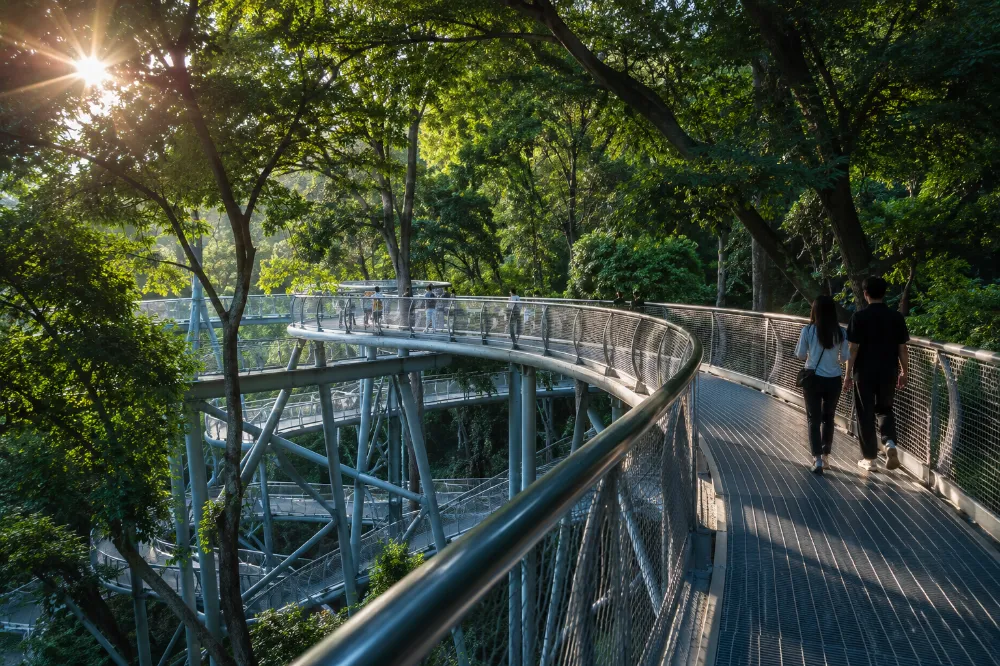 福州福道鏤空鋼架步道,穿梭樹冠之間的城市綠道體驗 福州福道鏤空鋼架步道,穿梭樹冠之間的城市綠道體驗